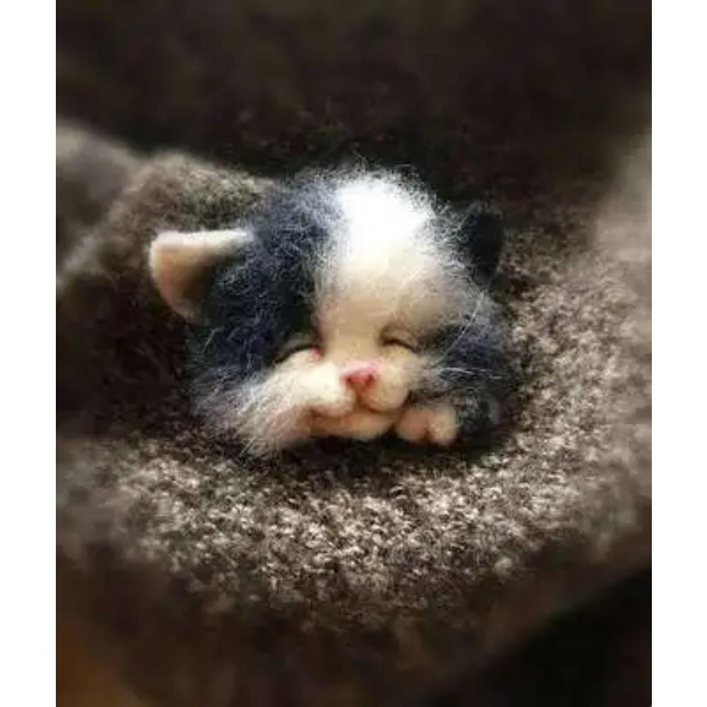 

Шерстяной фетр Поке Ручная работа DIY Материал Кит Шерстяная игла Не готовый Кот Лиса Енот Животное Брошь Плюшевая кукла Женская сумка Подвеска