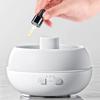 Onion Head Aromatherapy Machine Ultrasonic Humidifier Colorful Atmosphere Light Aromatherapy Machin Air Humidifier for Hotel Spa