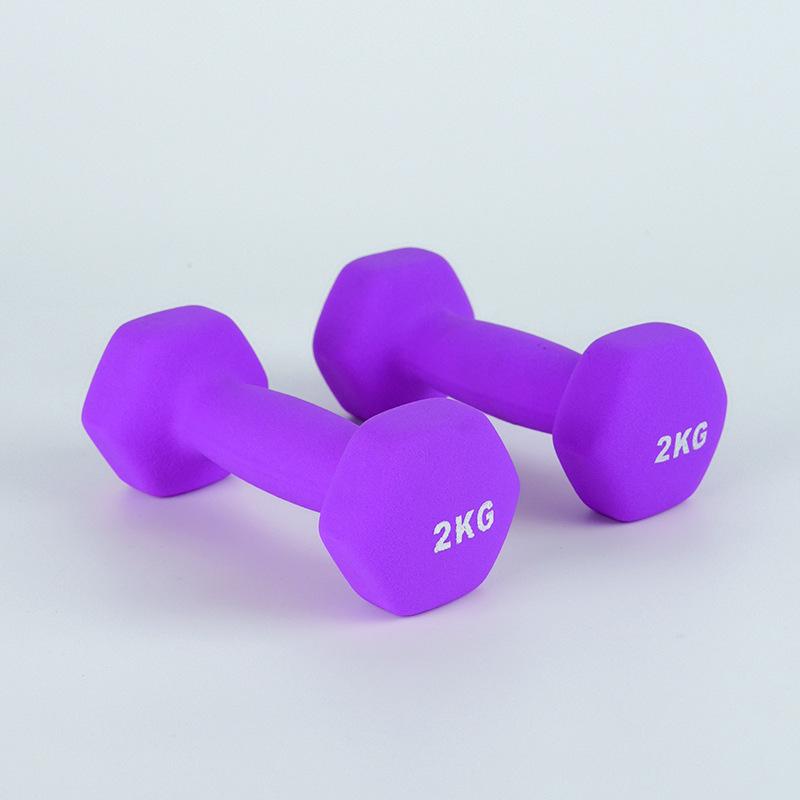 Manubrio Solido in Ghisa da 1,5 kg per Fitness a Casa