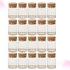 HOOTNEE 20pcs Small Glass Bottles with Cork Tea Storage Jars Mini Bottles Party Supplies Glass Wish Jars