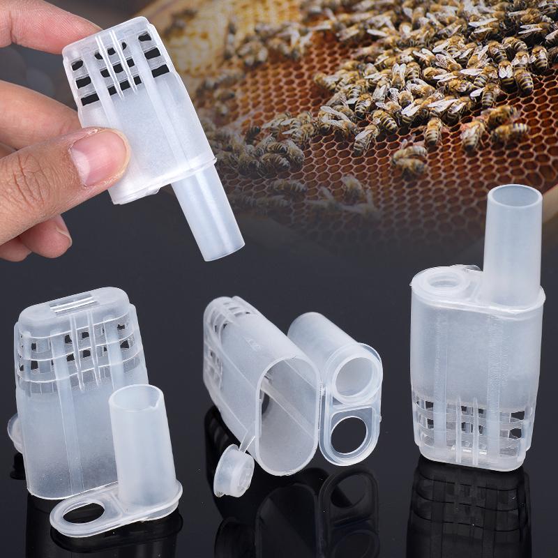 5/10pcs Queen Bee Cages Beekeeping Protection Queen Bee Isolation Plastic White Move Queen Bee Beekeeping Tools