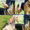 Dog Cat Comb Pet Fur Knot Cutter Grooming Shedding Tools Hair Remover Brusher Double Sided Hairdressing Pet Comb Deshedding Brush Pet Products