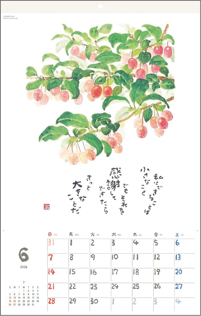 Tomihiro Hoshino 2026 Calendar, Poetry and Artwork Collection, Wall Hanging, Jewel No. 6226
