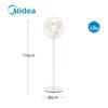 Midea 5-Blade Energy-Saving Pedestal Fan CN plug (adapter included)