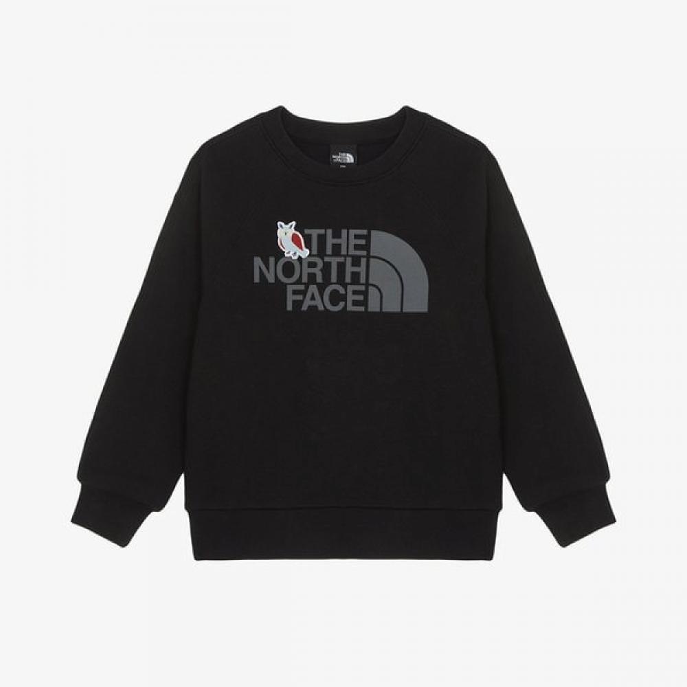 

The North Face Kids Animate Sweatshirt Black Nm5mr55s BLACK/100