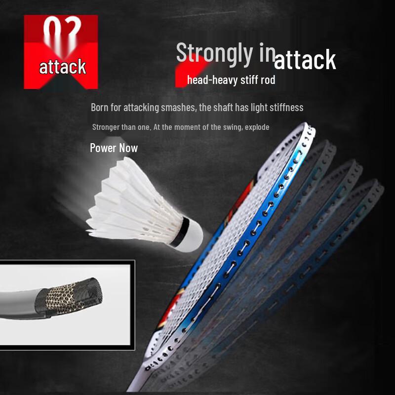 Double Fish Carbon Badminton Racket Pair for Training
