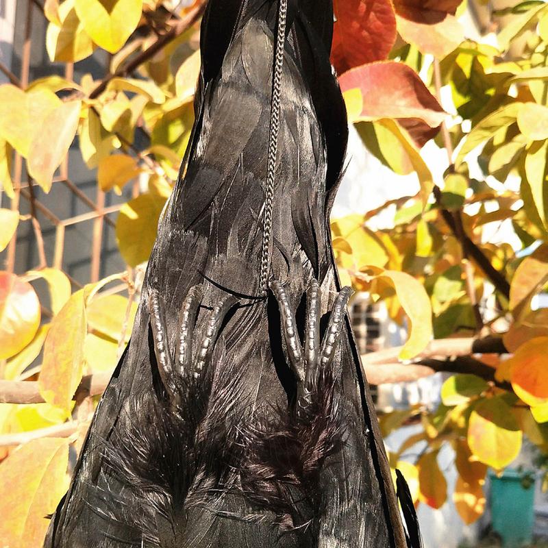 Halloween Decor Simulation Crow Bird Mold Animal Ornaments Realistic Hanging Dead Crow Decoy Props Decoration Crow Prop Decor