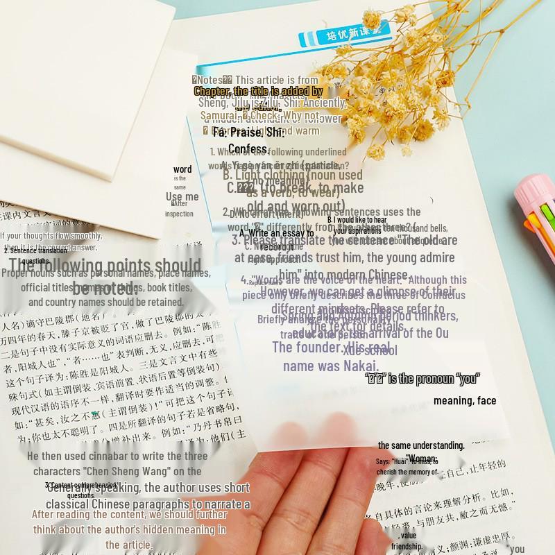 PET Transparent Reusable Sticky Notes: Creative Wrong Answer & Memo Notes for Students