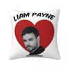 Poszewka na poduszkę Liam Payne Nadruk Poliestrowa Poszewka na poduszkę Dekoracje Poszewka na poduszkę Dom Zamek Błyskawiczny 40X40cm