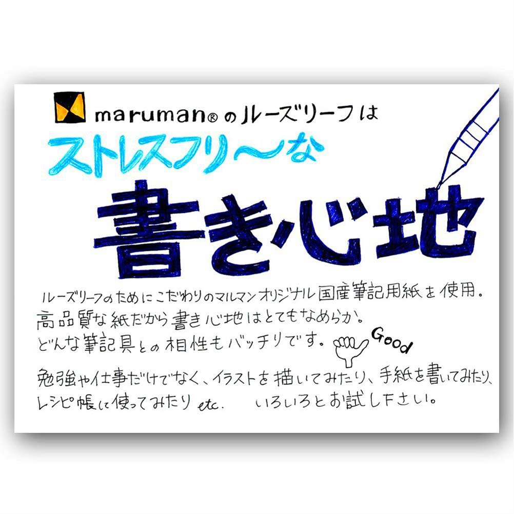 Maruman Loose-Leaf B5 English Calligraphy Ruled Notepad, 15 Lines, 30 Sheets, Set of 10, L1209