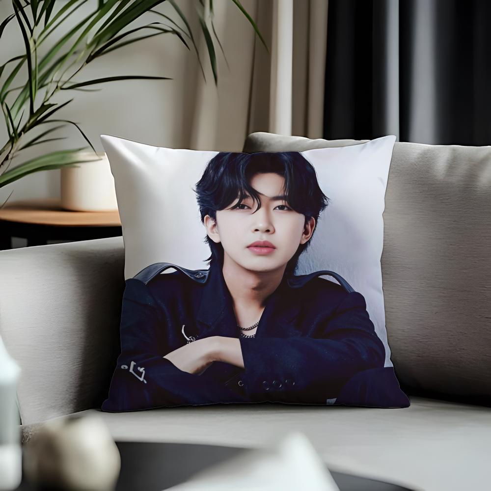 Trending LLlim Young Woonged Cushion Cover Antidustmite Pillowcase Invisible Zipper Silky Short Plush Sofa Cushion Cover