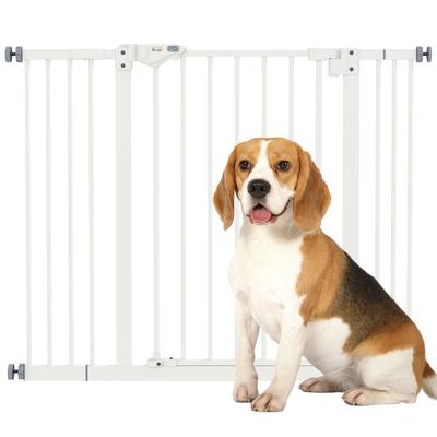 Cani – Attrezzature per l'addestramento dei cani
