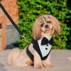 1 Adjustable Dog Wedding Tuxedo Formal Pet Wedding Tuxedo Dog and Cat Tuxedo Collar for Wedding Birthday Party (M)