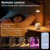 Rechargeable Table Decoration Lamp with Remote Control Touch Control Desk Light RGB Atmosphere Room Bedside Lamp Home Use