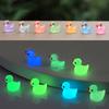 Glow in The Dark Mini Ducks, Luminous Miniature Duck Figurines for Fairy Garden Terrarium, Moss Landscape Home Decor