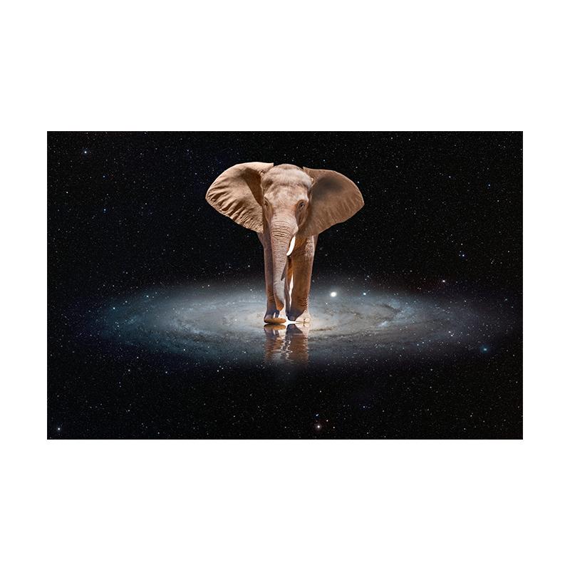 

Галактика Андромеды Фото Современное настенное искусство Печать на холсте Плакат Причудливая картина с изображением слона для гостиной Домашний декор Cuadros 70x100cm No Framed