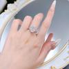 Hui Zhi Yi S925 Silver 5 Carat Ice Flower Cut Diamond Ring - European & American Style.