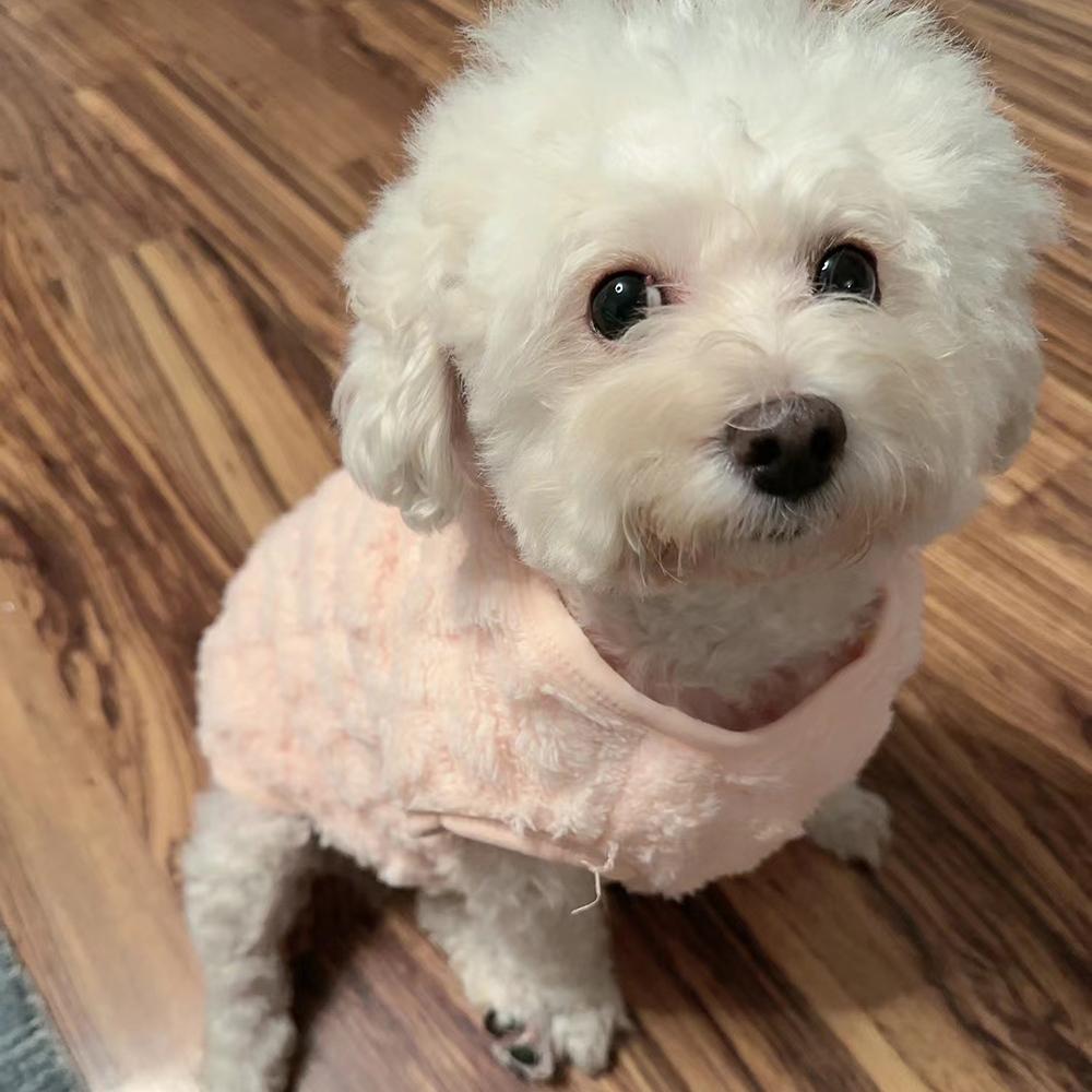 Soft Cozy Dog Clothes Winter Warm Puppy Fleece Costume For Small Medium Dogs Cats Outdoor Pet Sweater French Bulldog Yorkshire Coat