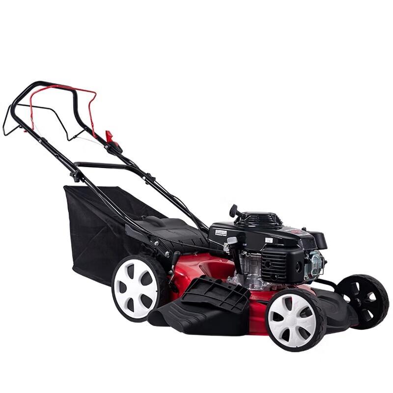 

Longlida 21-inch Self-Propelled Gasoline Lawn Mower CN plug (adapter included)