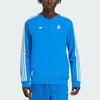 adidas Originals Ss25 Gestreifter Rundhals-Pullover Langarm-Sweatshirt Herren sweatshirt JN3066
