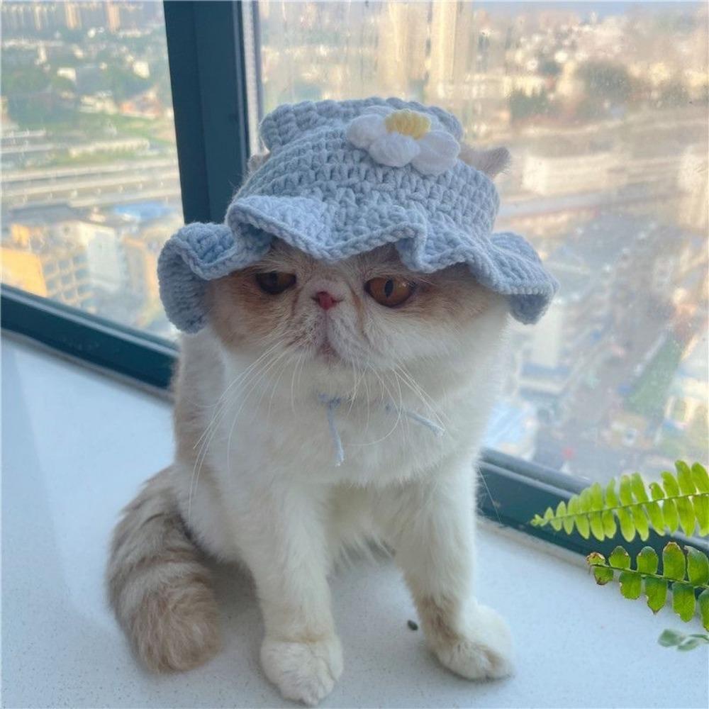 Cappello intrecciato a mano per animali domestici, simpatico cartone animato gatto cane, abbigliamento cappello decorazione, copricapo per animali domestici
