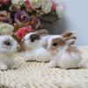Lifelike Cute Birthday Gift Fur Miniatures Animal Kids Toy Easter Plush Bunny Simulation Rabbits