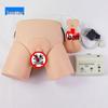Human Catheterization & Enema Training Model