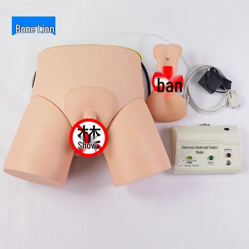 Human Catheterization & Enema Training Model