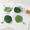 Direct Sales Simulated Leaf Silk Screen Printing Eucalyptus Money Leaf Apple Leaf Eucalyptus Leaf Green Plant Accessories Landscaping Decoration