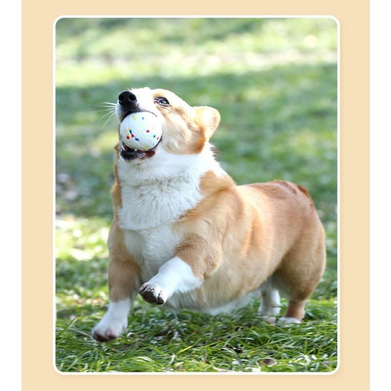 Durable Bite Resistant Elastic Solid Ball Chew Toy For Pet Dogs