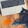 1 Stück tragbare Katzennahrungstasche Ausdrücker Katzensnacktasche Quetschwerkzeug für kleine, mittlere, große Rassen Tiere Fütterung Einfache Entnahme