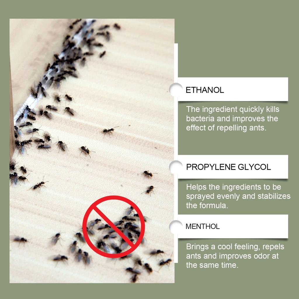 Ant Spray For Indoor And Outdoor Use, Fresh , Fast And Effective Anti-ant Infestation 60ML