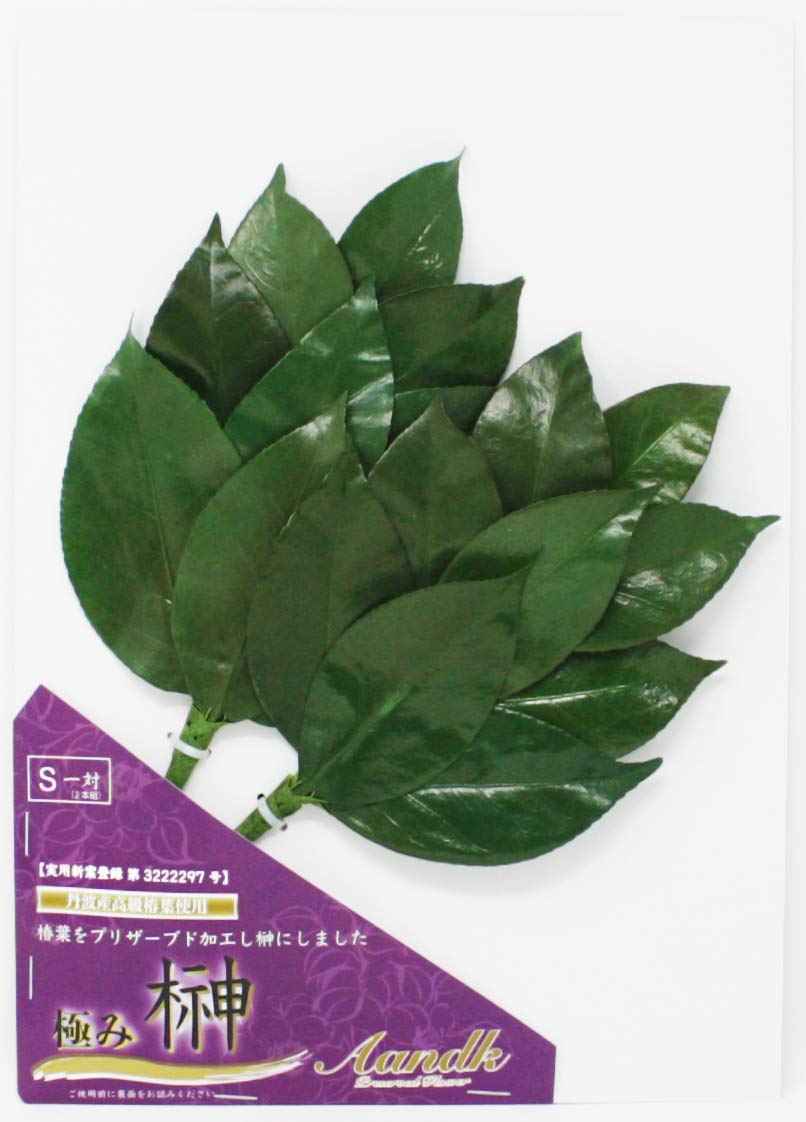 

[A&K] Economical Sakaki Kiwami S, Made with Natural Japanese Sakaki Leaves and Camellia Leaves, Heat-Resistant, Rot-Resistant, No Replacement