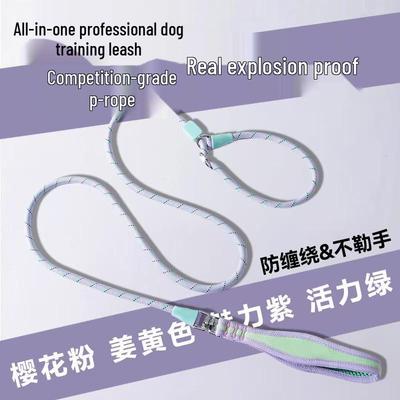 Cani – Collari e guinzagli per cani