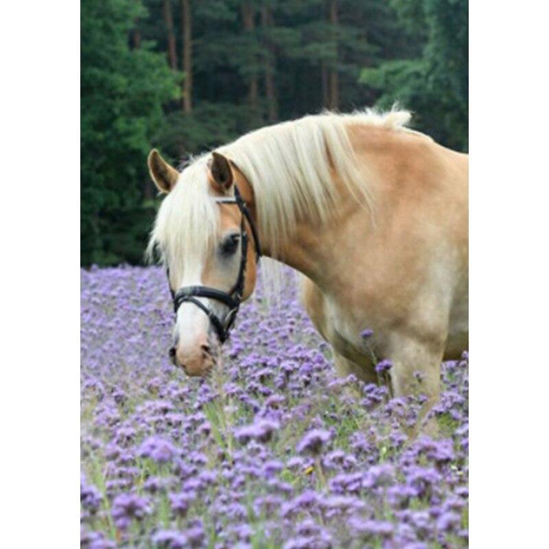 Neue 5D DIY Landschaft Diamant Malerei Pferd Diamant Stickerei Tier Kreuz Stich Volle Runde Bohrer Wohnkultur Manuelle Geschenk