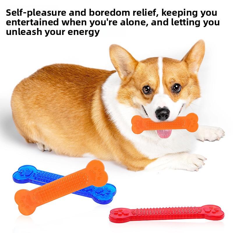 Pet Toy Transparent Flat Bone. Teddy and Golden Retriever Chewable and Grinding Tooth Toy for Dogs.