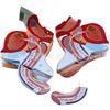 Male Reproductive and Urinary System Teaching Model with Internal and External Genitalia