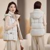 Wear hooded down cotton vest on both sides, European vest, foreign style, new autumn and winter Korean version loose coat tide