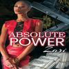 Absolute Power by Zari Paperback Book 9781645563464