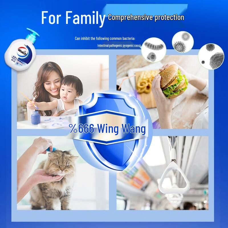 Walch Healthy Antibacterial Hand Wash