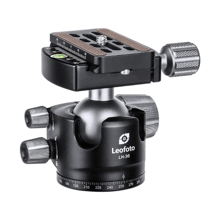 Leo Photo Carbon-Set Ranger-Serie LS-284CLin+LH-36 Stativ/Kopf