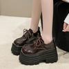 Модные 9 см Новые Женские Зимние Теплые Кроссовки На шнуровке Высокая Платформа Кожаная Обувь Женская Готическая До щиколотки Рок Ботинки Толстая Подошва Меховая Обувь