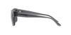 Sunglasses EA4197F TRANSPARENT GREY GREY Lens 57 [Emporio Armani] Frame/DARK