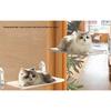 Cat Window Hammock With Suction Cup Mount For Sunbathing And Cozy Resting