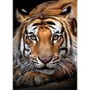 5D DIY Diamond Painting Animal Rhinestone Tiger Diamond Embroidery Wall Art Picture Mosaic Home Decoration Handmade Gift Kit
