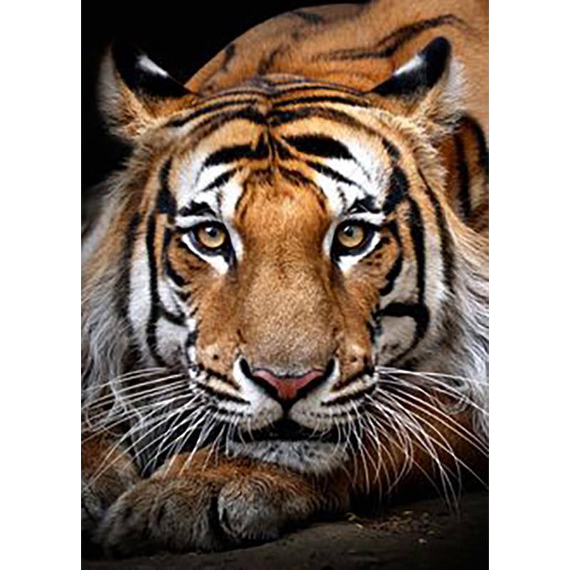 5D DIY Diamond Painting Animal Rhinestone Tiger Diamond Embroidery Wall Art Picture Mosaic Home Decoration Handmade Gift Kit