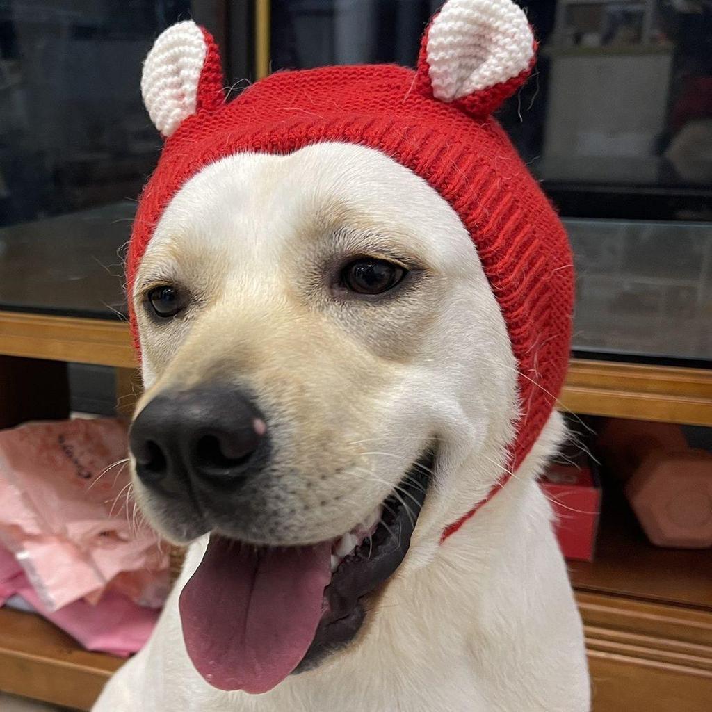 Winter Pet Hat for Medium-Large Dogs: Cute, Warm Cartoon Headwear for Labradors & Golden Retrievers