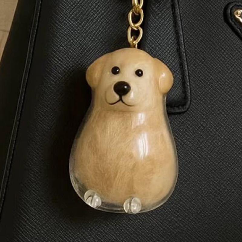 Průhledná kapsle na památku na štěněcí srst, nádoba na psí srst, DIY přívěsek, klíčenka, dekorace, dárky pro milovníky domácích mazlíčků, domácí displej