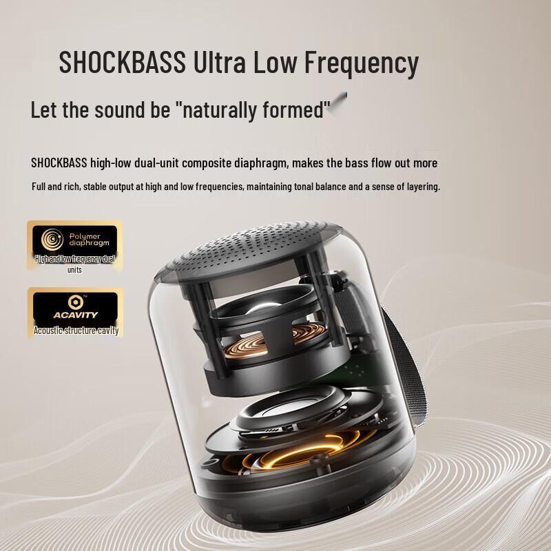 Sanag X6S II Portable Bluetooth Speaker (CN version)