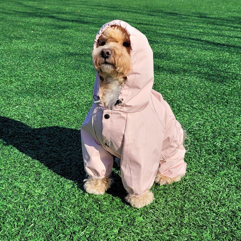 All-in-one dog raincoat windbreaker for dogs
